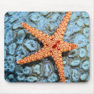 Tapis De Souris Étoiles de mer sur un corail avec Polips