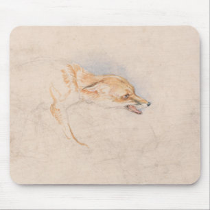 Tapis De Souris Étude d'un renard croustillant (par John Frederick