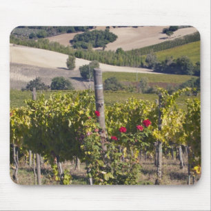 Tapis De Souris Europe, Italie, Ombrie, près de Montefalco, vignob