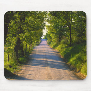 Tapis De Souris Europe, Italie, Toscane, route bordée d'arbres