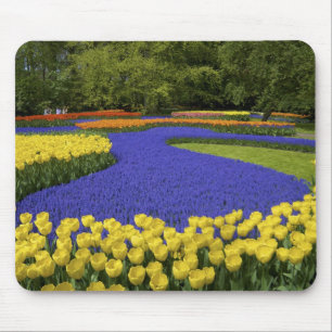 Tapis De Souris Europe, Pays-Bas, Hollande, Lisse, Keukenhof