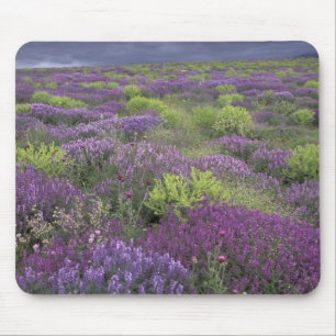 Tapis De Souris Europe, Turquie, Cappadoce. Paysage rural 3