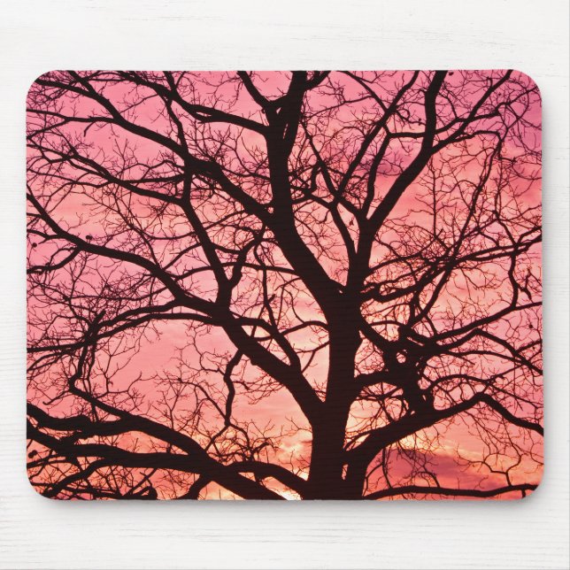 Tapis De Souris Evening Blush Tree Silhouette (Devant)