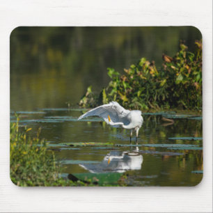 Tapis De Souris Examen de l'aile Egret