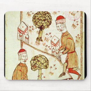 Tapis De Souris Examen et délimitation de terre