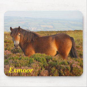 Tapis De Souris Exmoor pony, cheval, Somerset, Angleterre