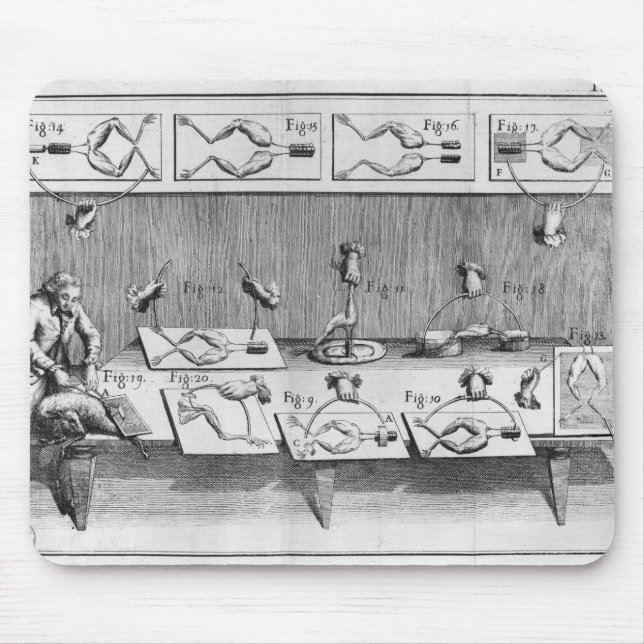 Tapis De Souris Expérience sur des grenouilles (Devant)