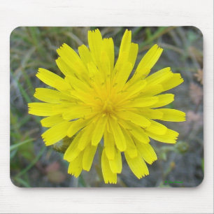 Tapis De Souris F16 Jaune Roi Diable Fleur Sauvage