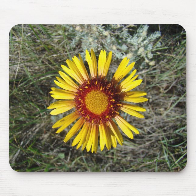 Tapis De Souris F1 Fleur sauvage jaune Gaillardia (Devant)