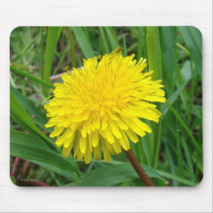 Tapis De Souris F45 Dandelion "Taraxacum Officinale"