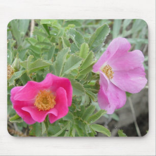 Tapis De Souris F4 Roses Sauvages