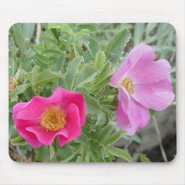 Tapis De Souris F4 Roses Sauvages (Devant)