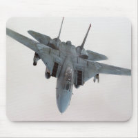 F-14
