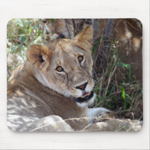 Tapis De Souris face de lion