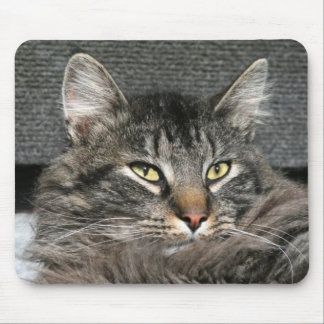 Tapis De Souris Face du chat Maine Coon