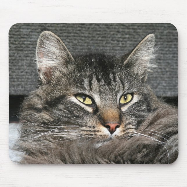 Tapis De Souris Face du chat Maine Coon (Devant)