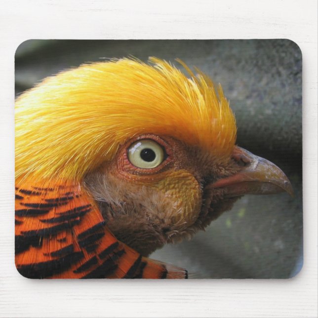 Tapis de souris Faisan doré (Devant)