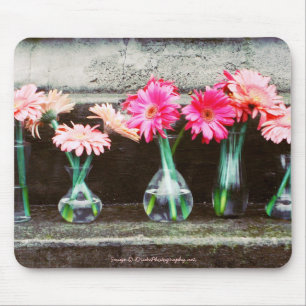 Tapis De Souris Faisses roses chaudes dans les vases
