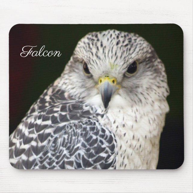 Tapis De Souris Falcon (Devant)