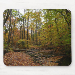 Tapis De Souris Fall Creek à Laurel Hill State Park Pennsylvania