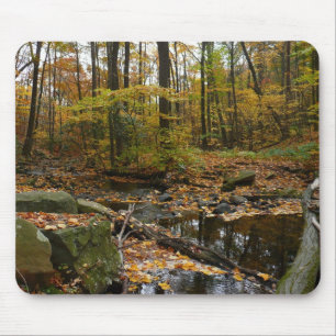 Tapis De Souris Fall Creek avec réflexion à Laurel Hill Park