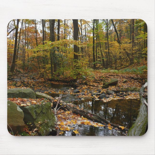 Tapis De Souris Fall Creek avec réflexion à Laurel Hill Park (Devant)
