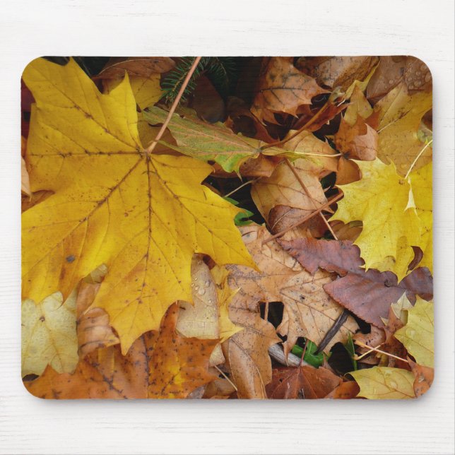 Tapis De Souris Fallen Maple Feuille Jaune Automne Nature (Devant)