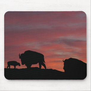 Tapis De Souris Famille Bison