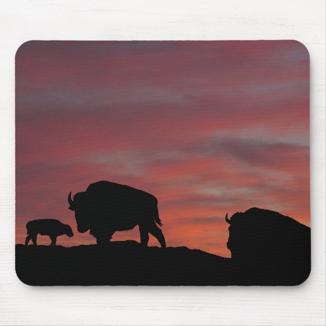 Tapis De Souris Famille Bison (Devant)