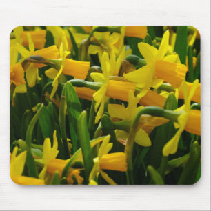 Tapis De Souris Famille Daffodil