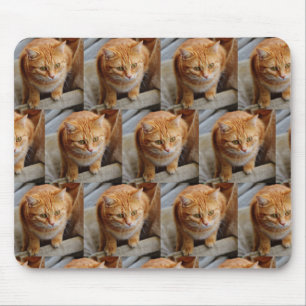 Tapis De Souris Famille d'animaux de compagnie de collection de Mo