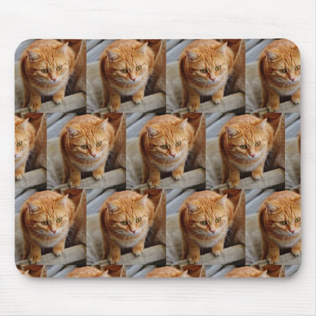 Tapis De Souris Famille d'animaux de compagnie de collection de Mo (Devant)