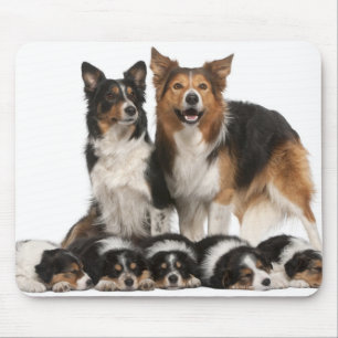 Tapis De Souris Famille de border collie