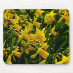 Tapis De Souris Famille de jonquilles