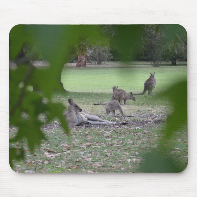 Tapis De Souris famille de kangourou (Devant)