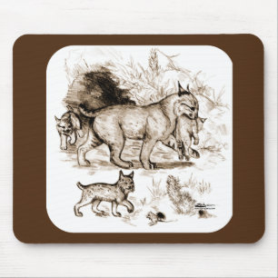 Tapis De Souris Famille de Lynx roux