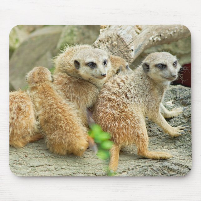 Tapis De Souris Famille de meerkats - Mousepad (Devant)