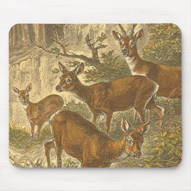 Tapis De Souris Famille de Roe - Cerfs dans une forêt (Devant)