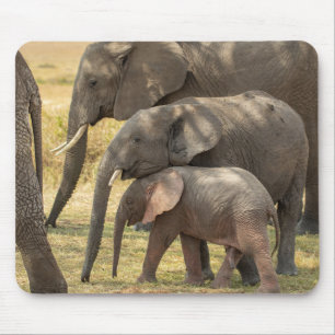 Tapis De Souris Famille d'éléphants /W Bébé montrant l'affection