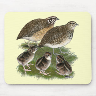 Tapis De Souris Famille des Cailles Coturnix