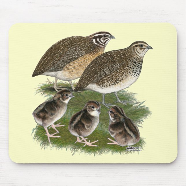 Tapis De Souris Famille des Cailles Coturnix (Devant)