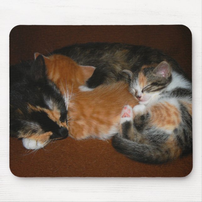 Tapis De Souris Famille des chatons somnolents (Devant)