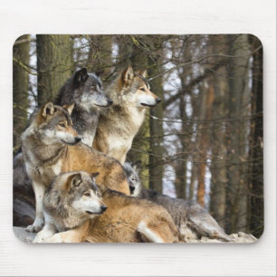 Tapis De Souris Famille des loups