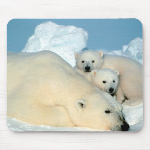 Tapis De Souris Famille d'ours blanc
