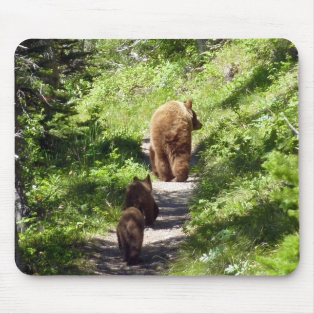 Tapis De Souris Famille d'ours Brown (Devant)