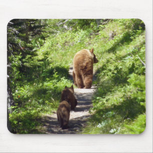 Tapis De Souris Famille d'ours brun