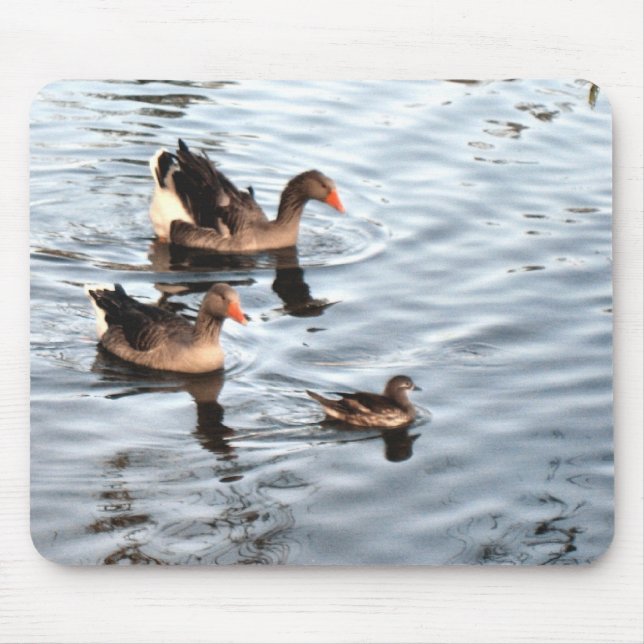 Tapis De Souris Famille Duck (Devant)