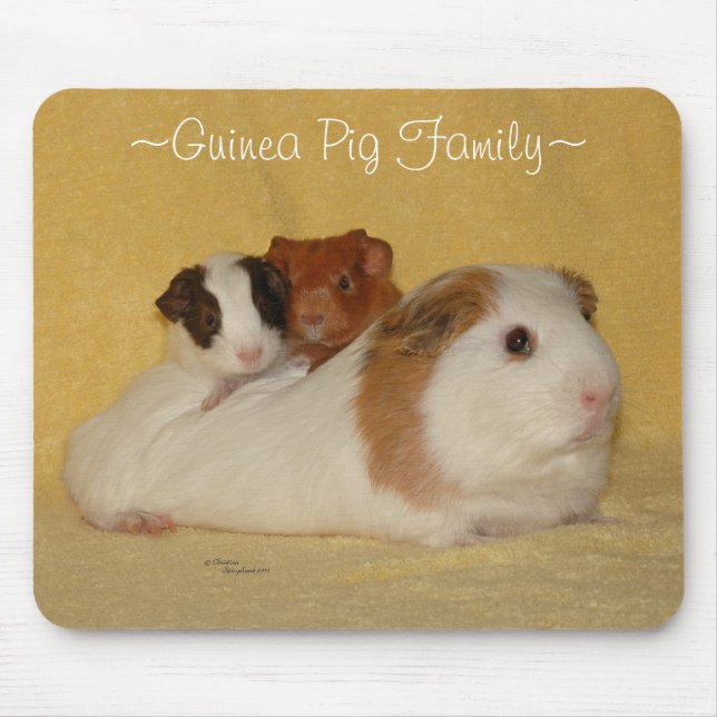 Tapis De Souris Famille Mousepad de cobaye (Devant)