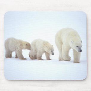 Tapis De Souris Famille Mousepad d'ours blanc