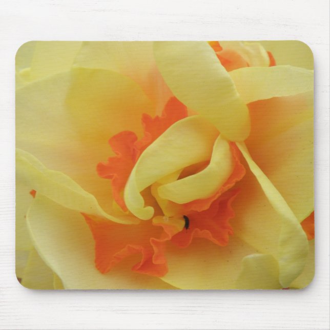 Tapis De Souris Fancy Daffodil Mousepad (Devant)